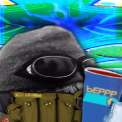 6651