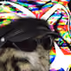 2070