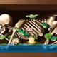 Life, Death and Frog