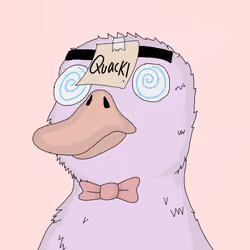 Duck #244