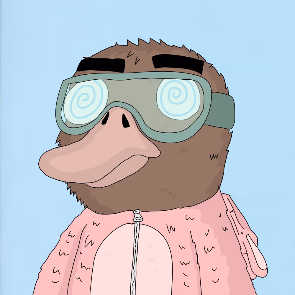Duck #536