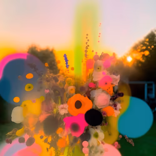 A Trippy Ode to Nature's Hues