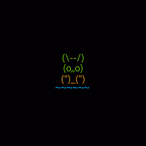 Keyboardbunny