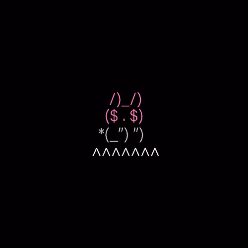 Keyboardbunny