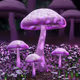 Unidentified contract - oqgbbKE3yV