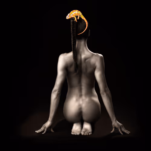 Chameleon Bodyscapes