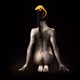 Chameleon Bodyscapes