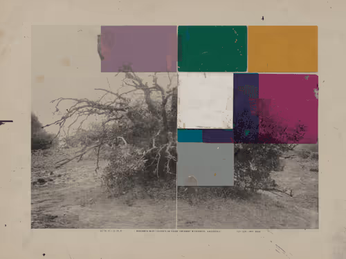 Item #438456129 Media