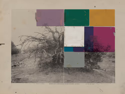 Item #315429032 Media