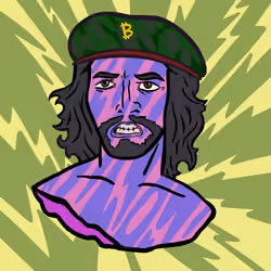 Che Guevara #270