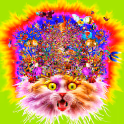 Kitties and Doges by MDMA #171