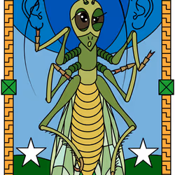 34
