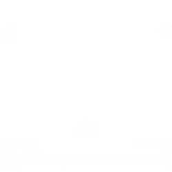 DEVT Allocation Voucher #17 - 0.00 - Linear