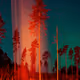 Some Kind of Heavenly Fire