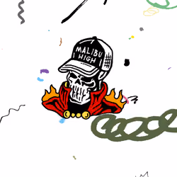 Wild One #2593