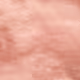 1161