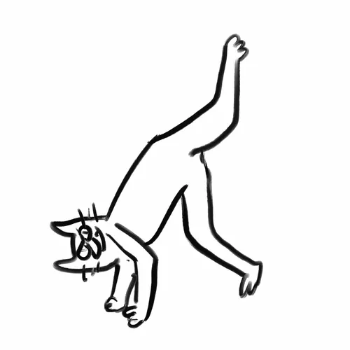 Dance Cat V2