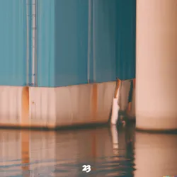 39
