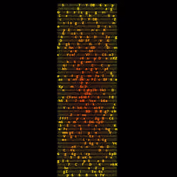 The Neon Codes #885
