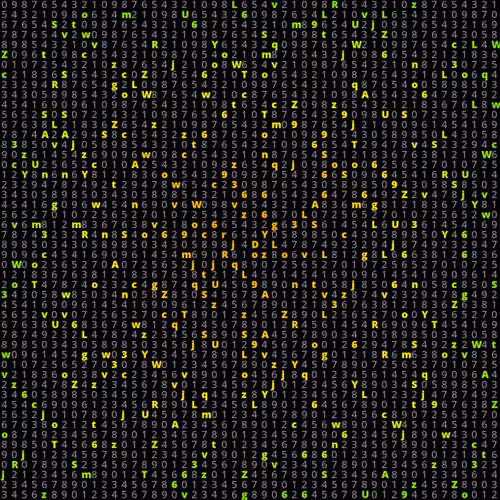 The Neon Codes