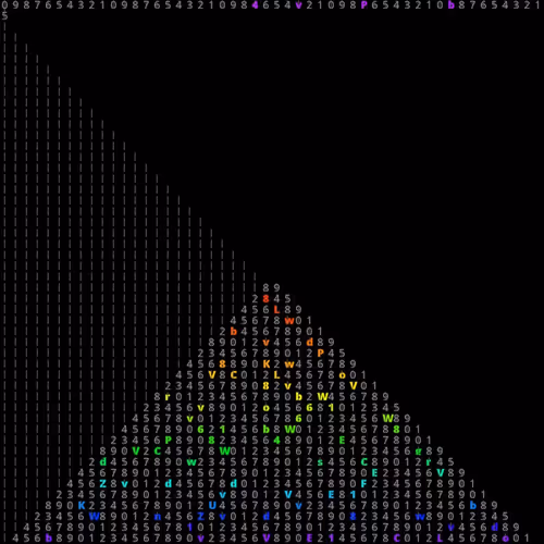 The Neon Codes