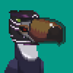 Toucan Gang #4355