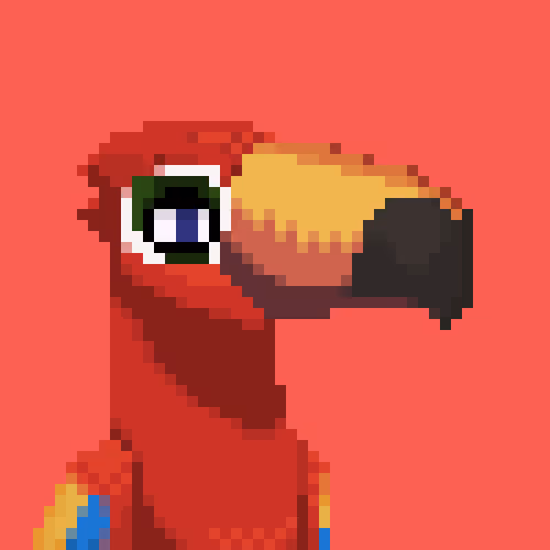 Toucan Gang