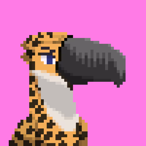 Toucan Gang
