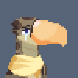 Toucan Gang #8225