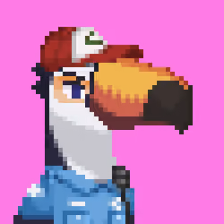 Toucan Gang #1328