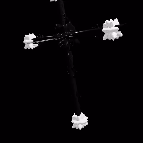 NOISE
