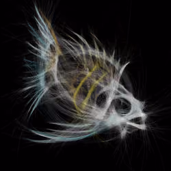 Underwater 363