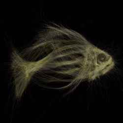 Underwater 367