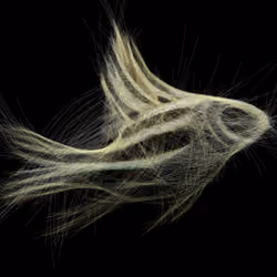 Underwater 364