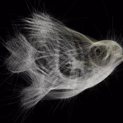 Underwater 143