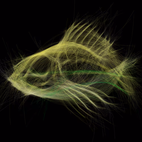 Underwaterartcollection