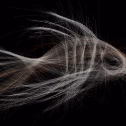 Underwater 336