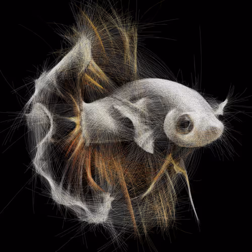 Underwaterartcollection