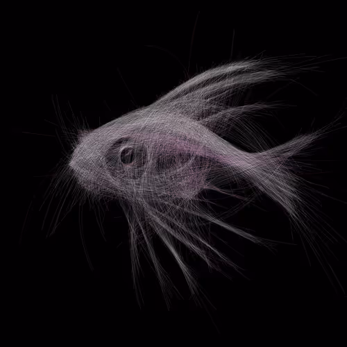 Underwaterartcollection