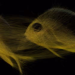 Underwater 223