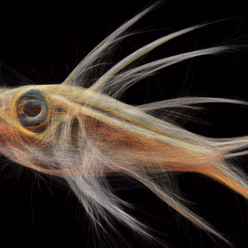 Underwaterartcollection