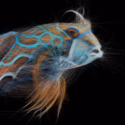 Underwater 226