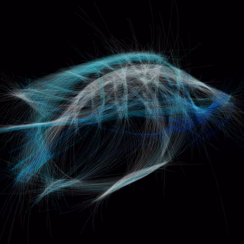 Underwaterartcollection