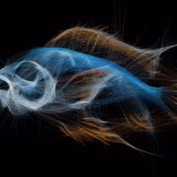 Underwater 317