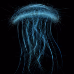 Underwater 60