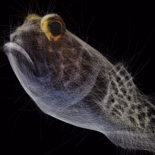 Underwaterartcollection