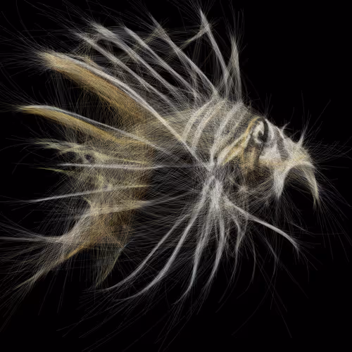 Underwaterartcollection