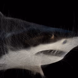 Underwater 262