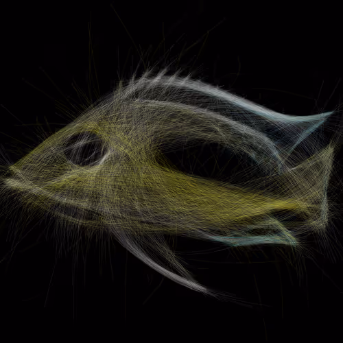 Underwater 160
