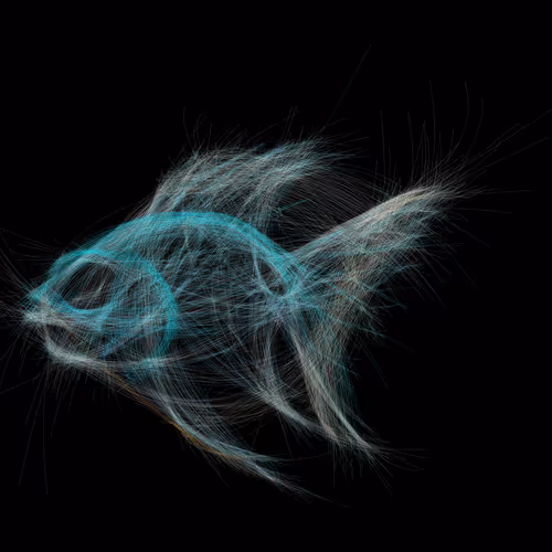 Underwaterartcollection